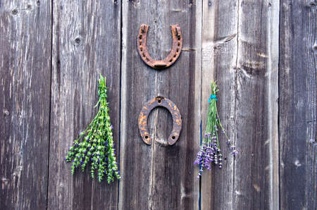 lavender and hyssop medical herbs bunch on wall and two rusty horseshoeの写真素材