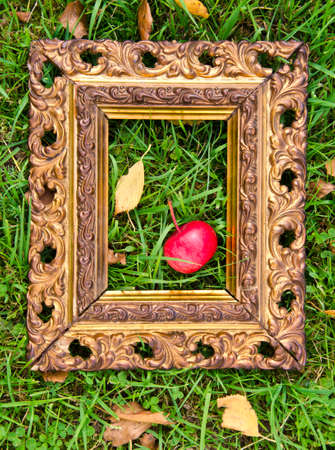 red fresh apple in antique beautiful picture frame on autumn grass. Autumn time conceptの写真素材