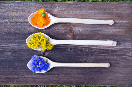medical herbs flowers in new wooden spoons - cornflower, marigold and st. Johns wortの写真素材