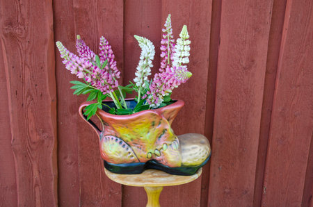 country still life with lupins in shoe form vase on small wooden table near wall