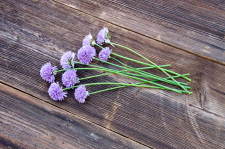 summer onion blossoms on old wooden plank backgroundの写真素材