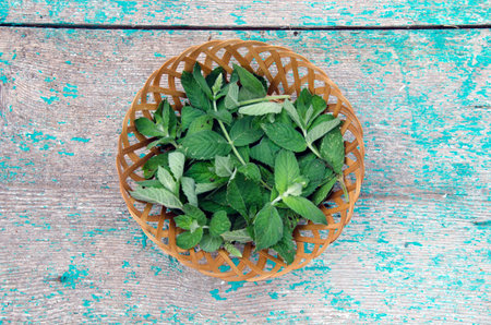 Mint fresh leaves in wicket basket on wooden backgroundの写真素材