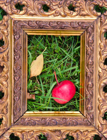 Antique frame with ecological red autumn apple placed on lawnの写真素材