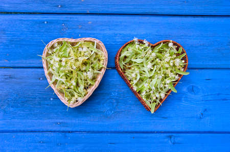Fresh linden tree blossoms in heart shaped wicker baskets on blue backgroundの写真素材
