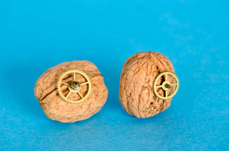 Still life with two walnuts and clock gears on blue backgroundの写真素材