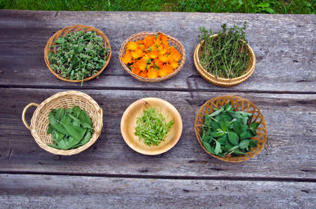 Freshly picked medical and spices herbs in bowls placed on wooden tableの写真素材