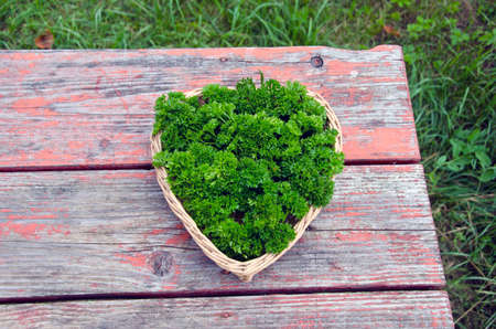 Freshly picked parsley in heart shaped wicker basket on rustic wooden tableの写真素材