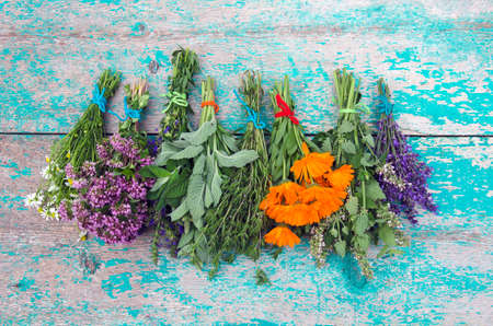 Various medical Herbs tied in the bundles and hanged to dry on wooden rustic wallの写真素材