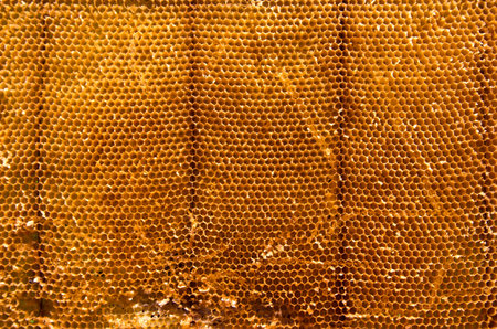 Closeup of beeswax background and texture