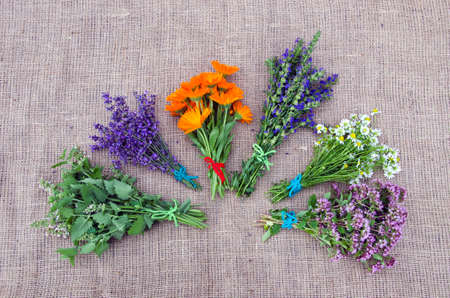 Bundle of freshly pickedvarious medical  herbs placed on linen backgroundの写真素材