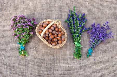 Selection of medical herbs and hazelnuts on linen background
