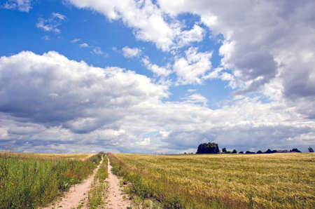 Summer time Rural landscape with bushes and cloudsの写真素材