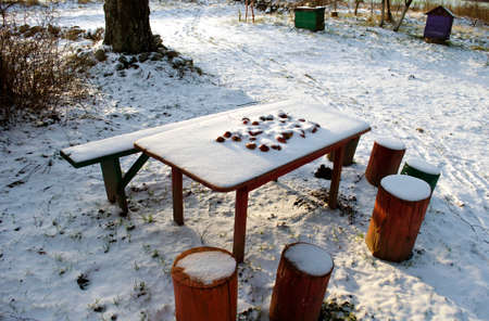 Apples covered with snow placed on table with stools and bench in yard in winterの写真素材