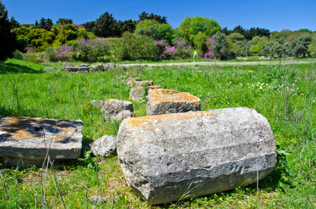 Acropolis columns ruins on park grass in Rhodes island, Greeceの写真素材