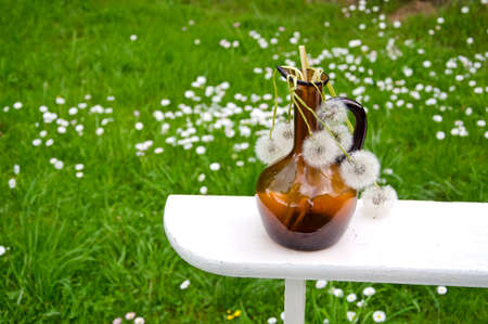 brown vintage bottle with dry white dandelion clocks on shelfの写真素材