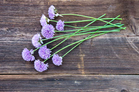 garlic blossom bunch on old wooden plank backgroundの写真素材