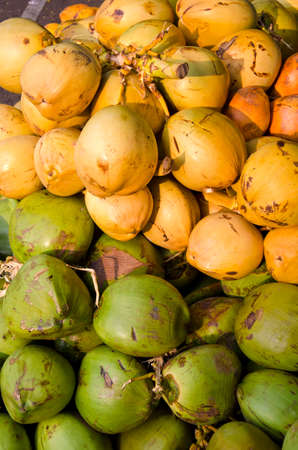 fresh raw green and yellow  coconuts fruits background in South Indiaの写真素材