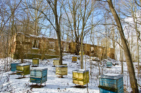 Historical manor estate ruins and old wooden beehive group covered winter snowのeditorial素材