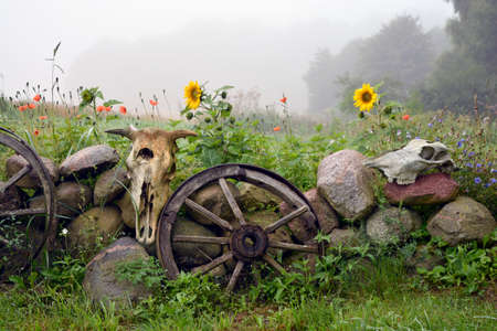 Misty summer morning in farm, decorative stone fence with wheels and animals skullsの写真素材