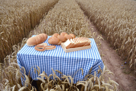 White bread on table in ripening wheat field, agriculture food concept