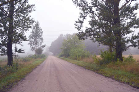 Empty summer end tural gravel road in morning mist and treesの写真素材