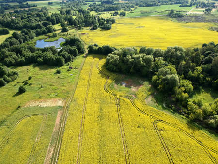Beautiful farmland landscape in summer with rapeseed fields and pond, aerial viewの写真素材