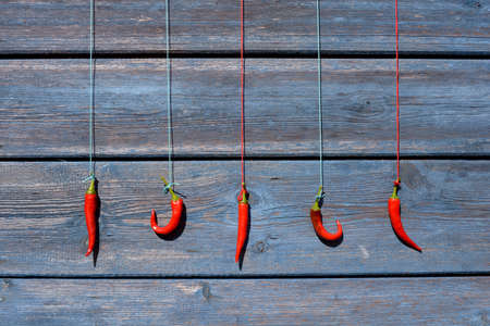 red chili peppers hanging on a rope on a wooden wallの写真素材