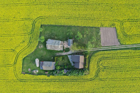 Homestead on yellow spring time rapeseed field, aerial viewの写真素材