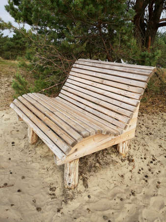 New wooden bench on sea dune sand near forestの写真素材