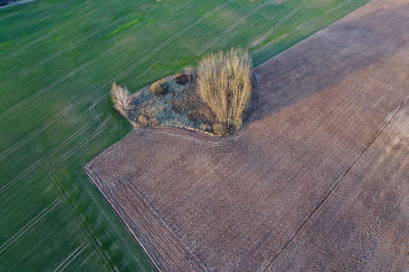 Farm fields from drone in spring, aerialの写真素材