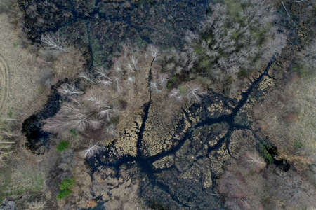 Swamp view from drone. Swampy landscape in early spring. View of an impassable swamp from height. Aerial photography.の写真素材