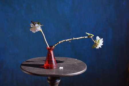 Apple tree branch blossoms in red vase on small tableの写真素材