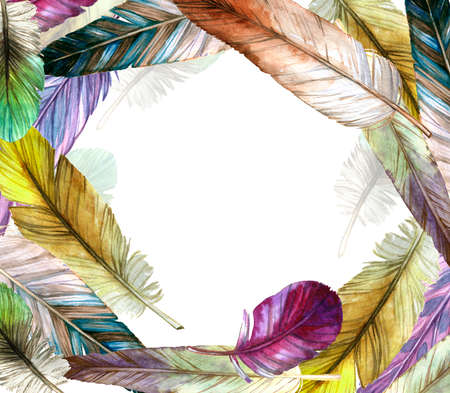 round watercolor frame from a stream of colored scenic feathers of different birdsの写真素材