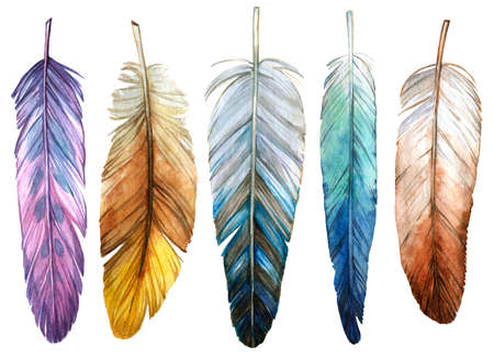 set of colored watercolor bird feathers on a white backgroundの写真素材