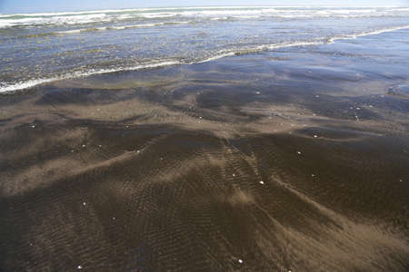 Water's edge on Karioitahi beach in New Zealand.の写真素材