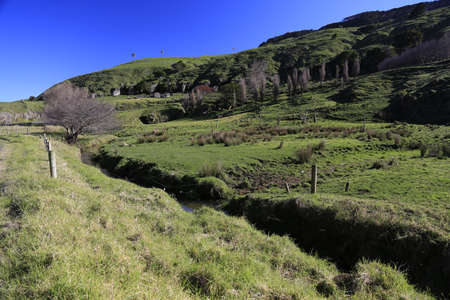 A field and a hill in the countryside of New Zealand.の写真素材
