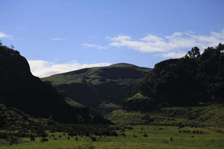 A hill and a field in the countryside of New Zealand.の写真素材