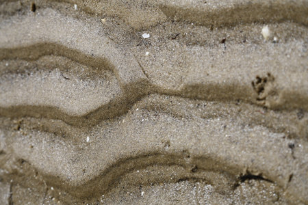 A close up of he ripples in the sand.  Taken at Graham's beach in Auckland, New Zealand.の写真素材