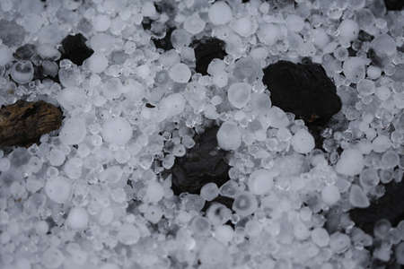Hail stones in a garden with bark.の写真素材