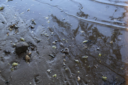 At the water's edge on a beach.