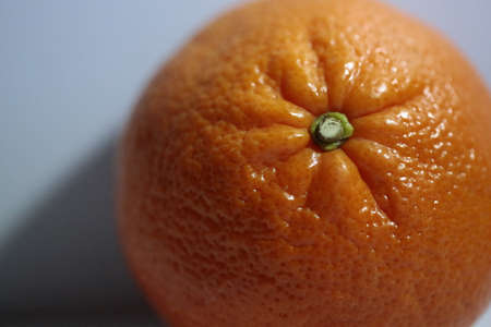 Part of a whole mandarin fruit.  A studio shot.の写真素材