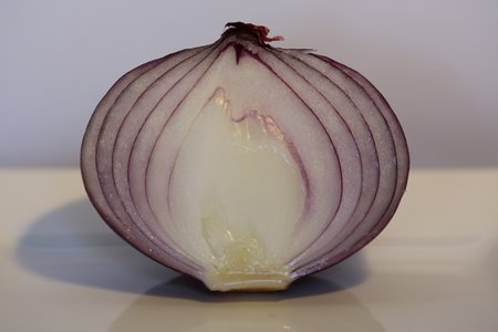 A cut in half red onion.の写真素材