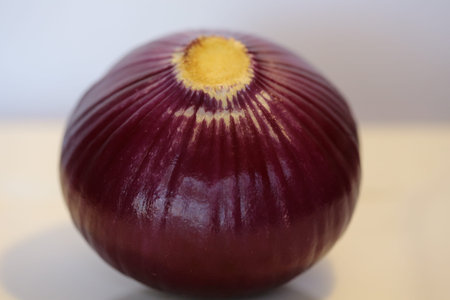 A whole red onion.  A studio shot.
