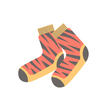 Pair of red woolen socksのイラスト素材