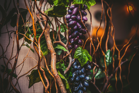 decorative plantsの写真素材