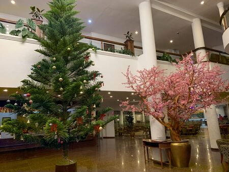 A christmas tree in a room. High quality photoの写真素材