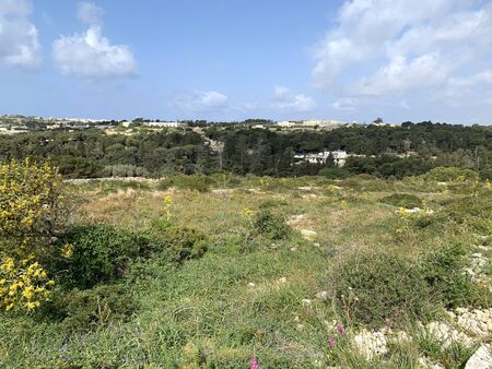 Country landscapes of Verdala lands in the south part of Maltaの写真素材