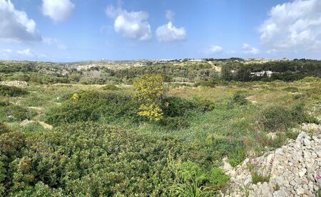 Country landscapes of Verdala lands in the south part of Maltaの写真素材