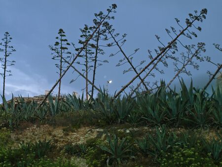 Beautiful Colours of Sunset. Tuffieha. Malta, Europe.の写真素材