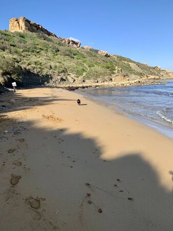 Black Dog runs in Tuffieha Bay beachの写真素材